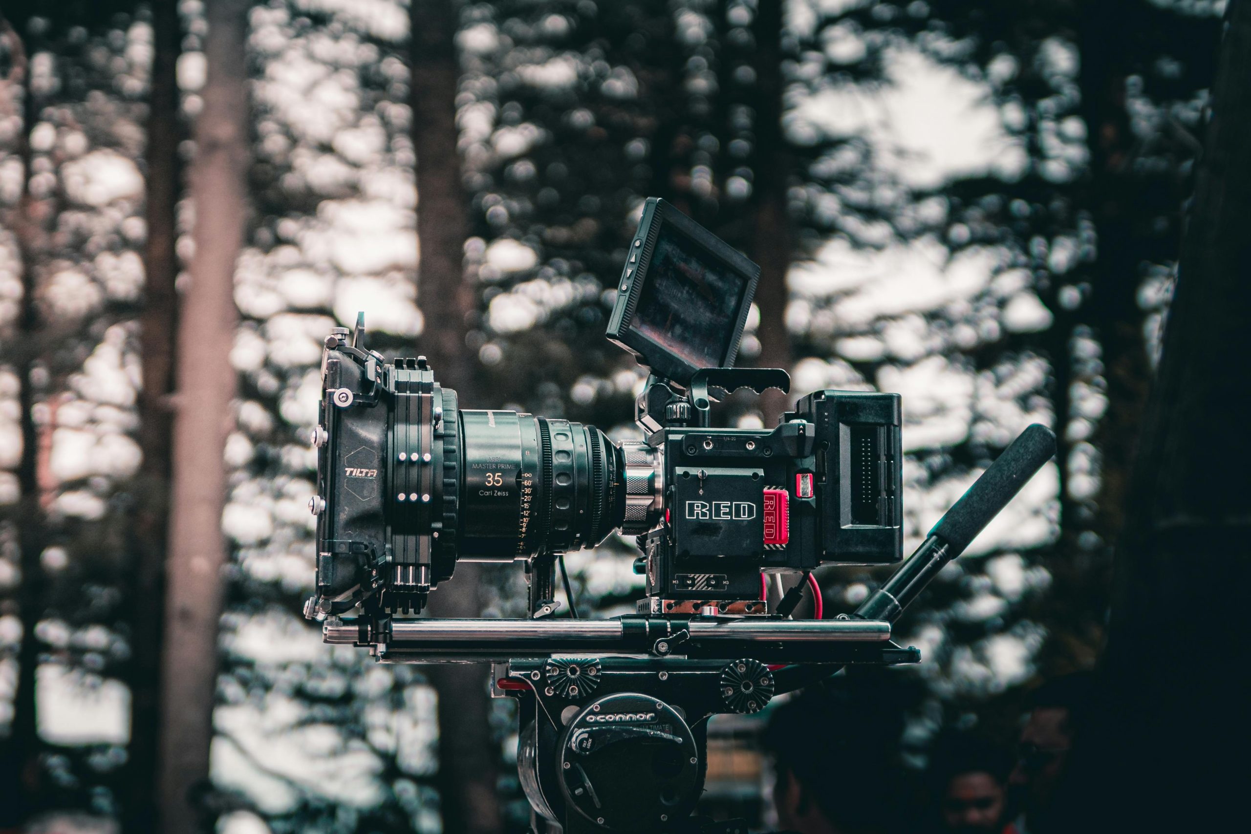 professional videographer
